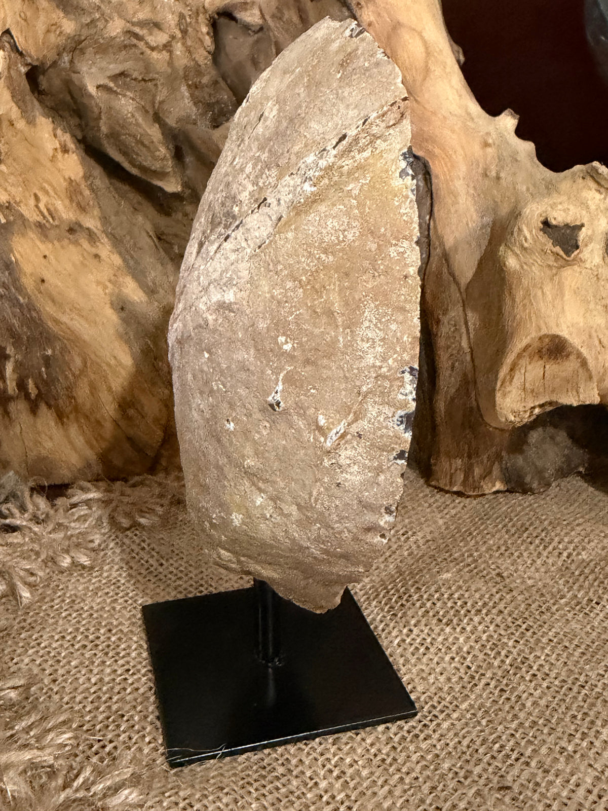 Natural Agate & Quartz Geode on Stand