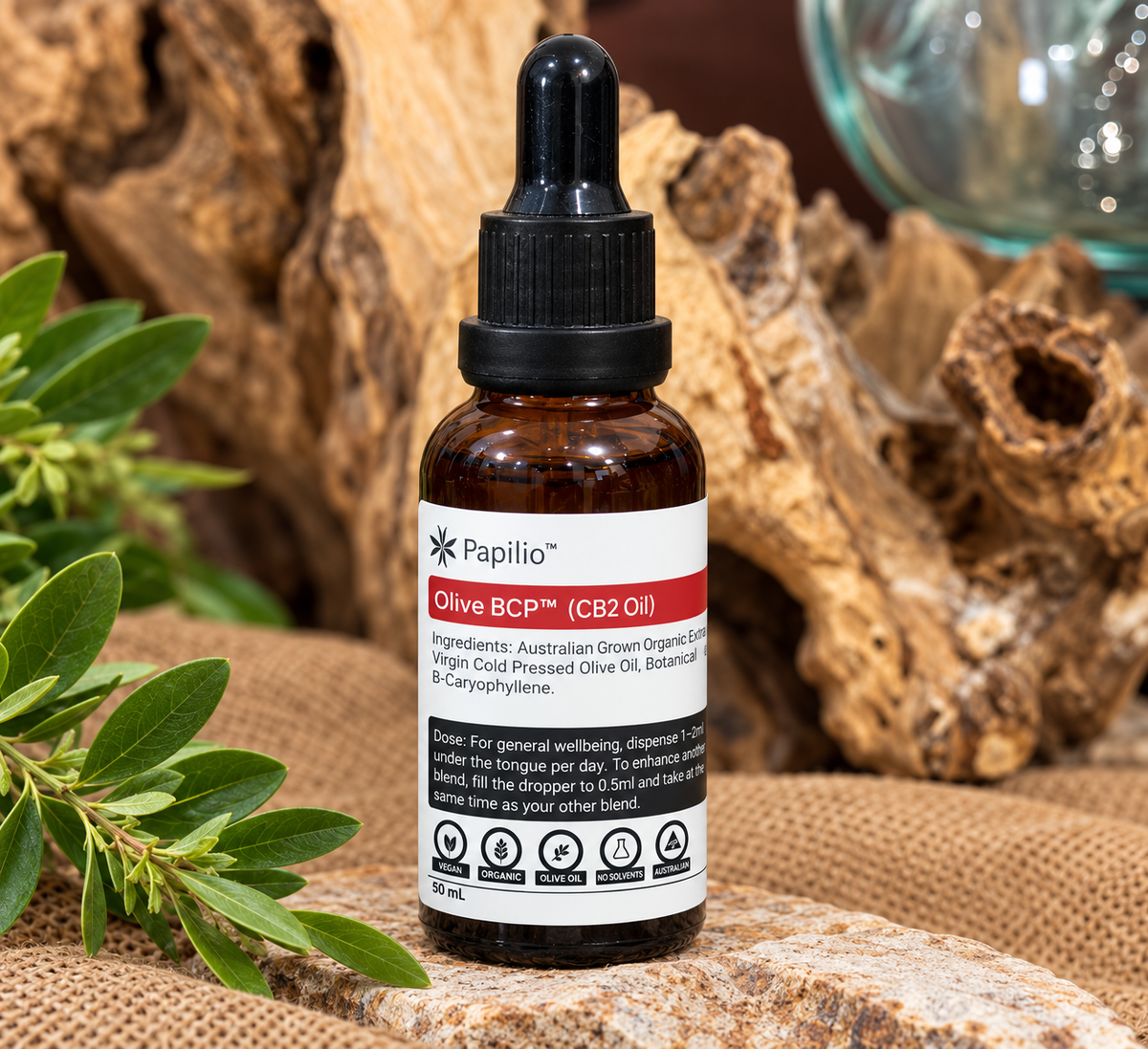 Papilio Olive BCP™ (CB2 Oil) – 50ml
